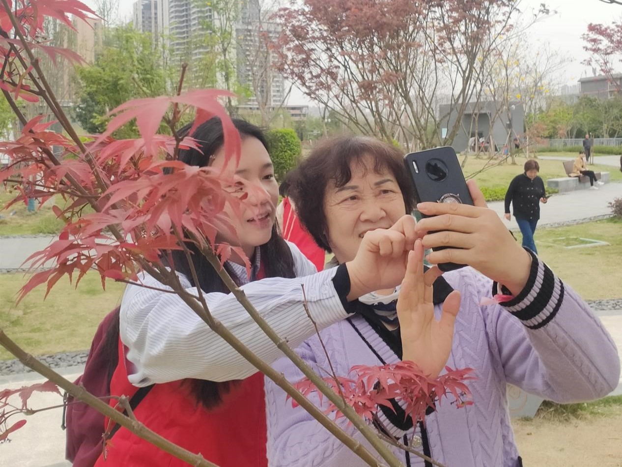 图片3.jpg 图片3.jpg