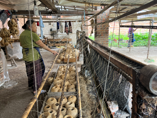 图片4.png 图片4.png